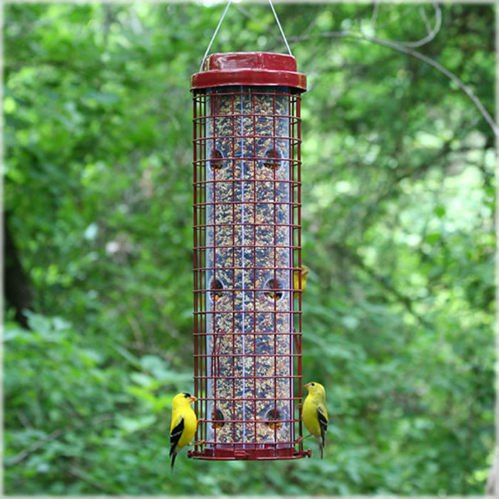 Beautiful Backyard Bird Feeders Small Birds Will Love